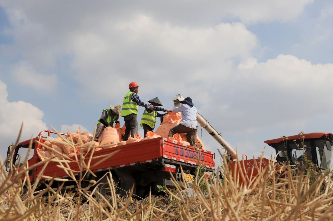 1767834798963769.jpg 2.jpg